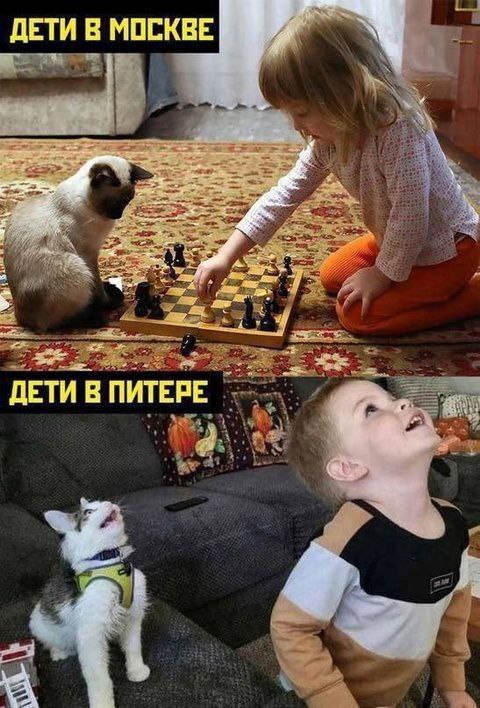 Две столицы