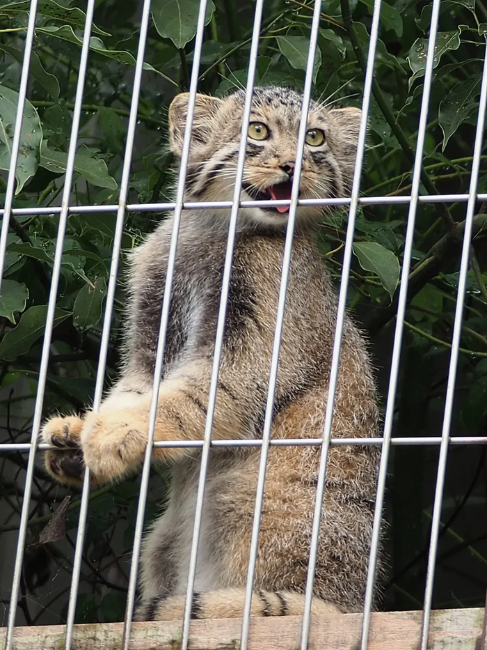 Вижу, вижу, выходные приближаются