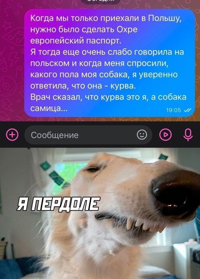      ,  , 