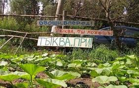 Ну и что, что нет тонны?