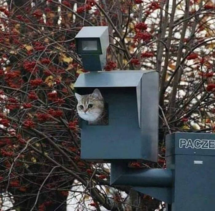 Вы кто такие?