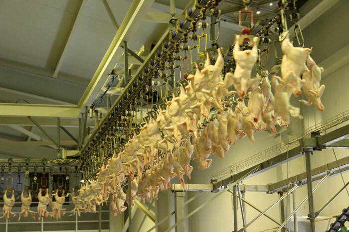 Висит, стекает. Всё как положено.