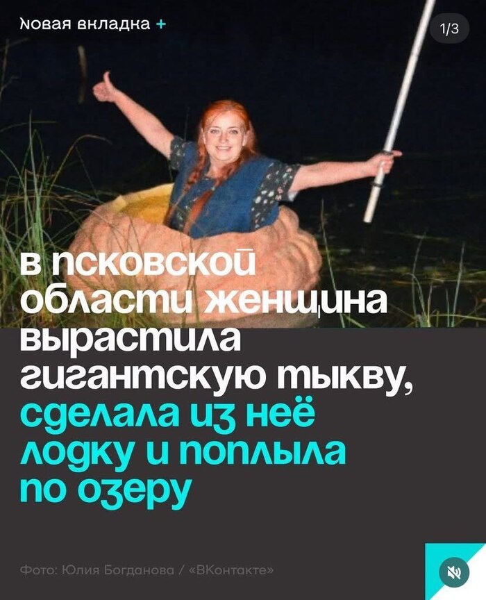 В тему к тыквам