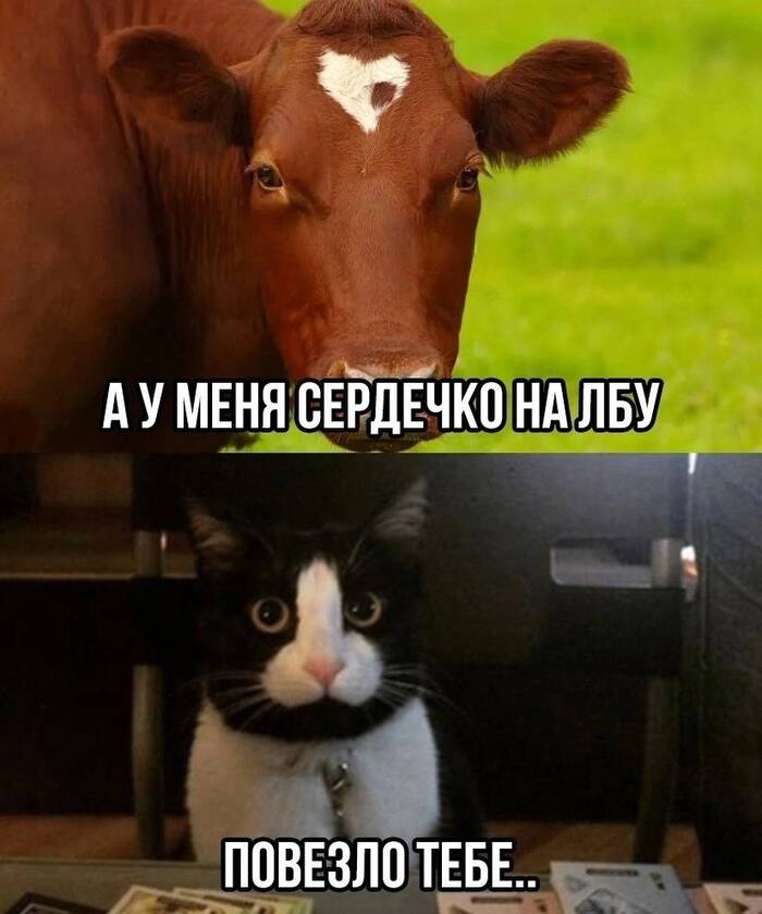 Ахах