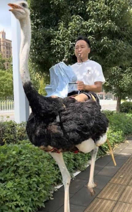       ,   .    ,     100 /,        