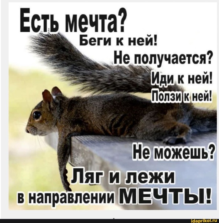 ���� � ����� ����� ����