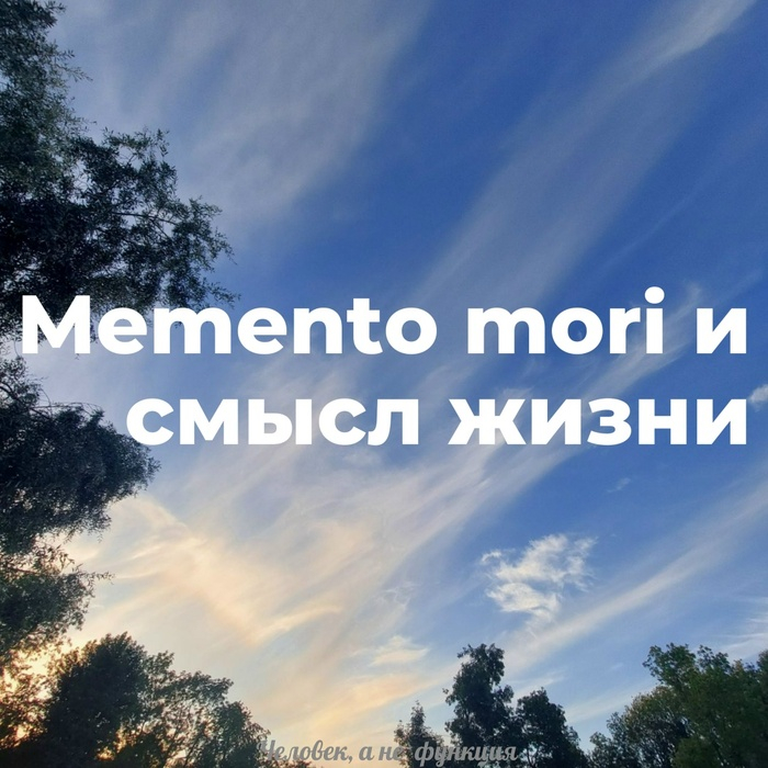 Лето 2025. Ленинградский зоопарк. Я буду помнить.