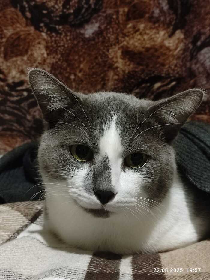 Ответ на пост «Накомнец-то водически достойного размера»