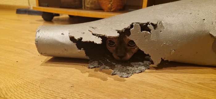 Х..ли смотришь? Живу я тут.