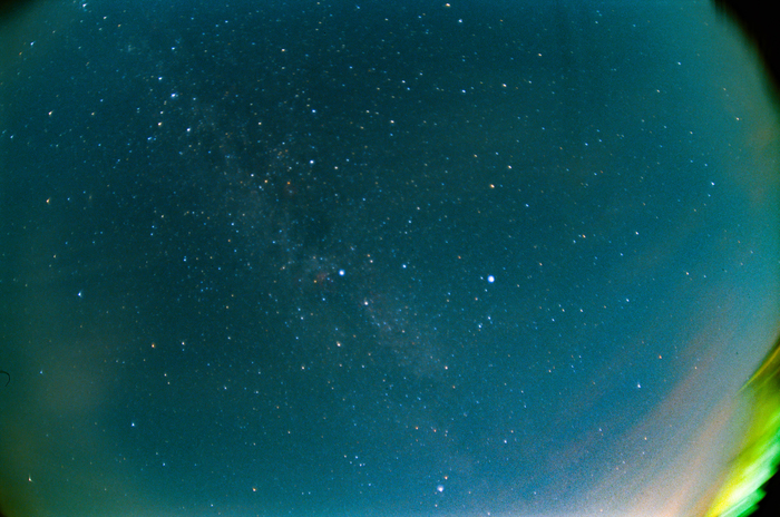 Убрал дикую тварь