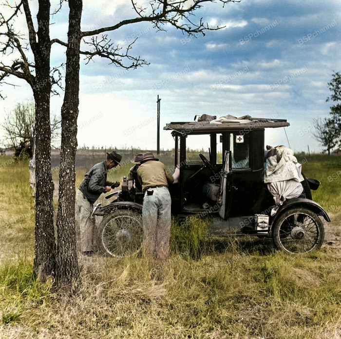 ��������: ������ �����������