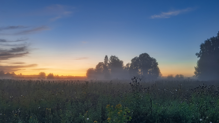 37. Туман над полями