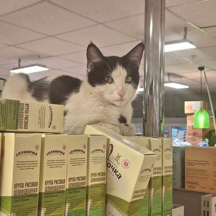 ���������� ����� ��� ������