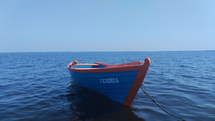 Ведем на выставку