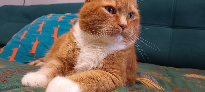 Little Bit News | Интересные новости про игры за последние дни для тех, кто устал следить и просто хочет поиграть после работы