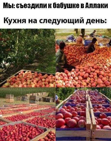 Не вижу минусов