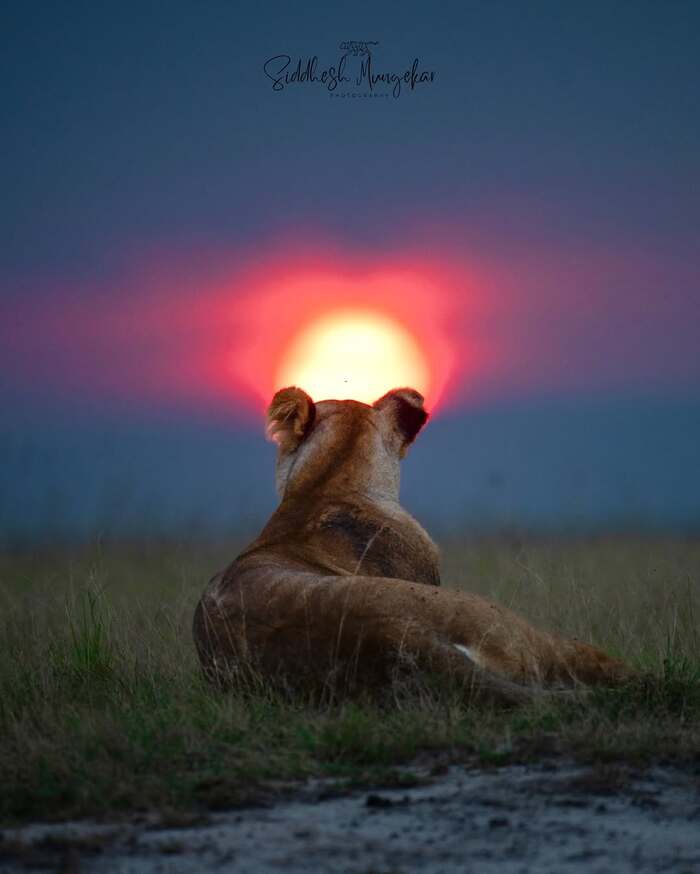 Любуясь закатом