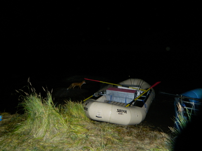 ���� �� ������� ����������������� ����