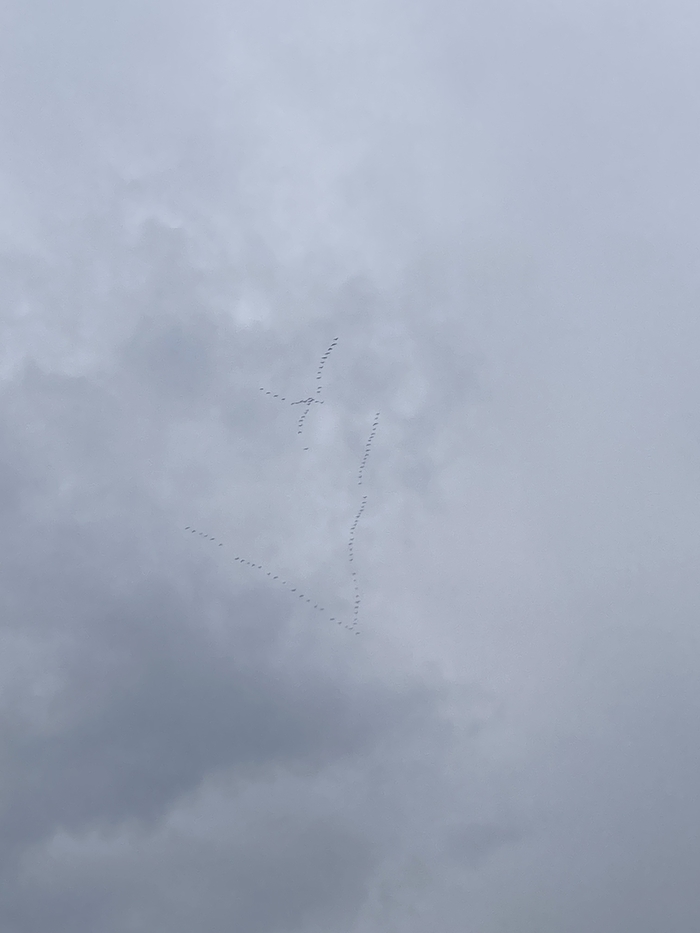 Вот и лето прошло…