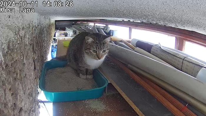 Обдумывает свою дальнейшую жизнь.