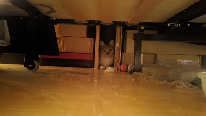 Пожалуйста, поставьте меня там, где взяли. Эгоисты фиговы.