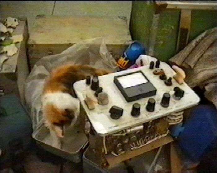  ,  ,   ,    .   ,    .