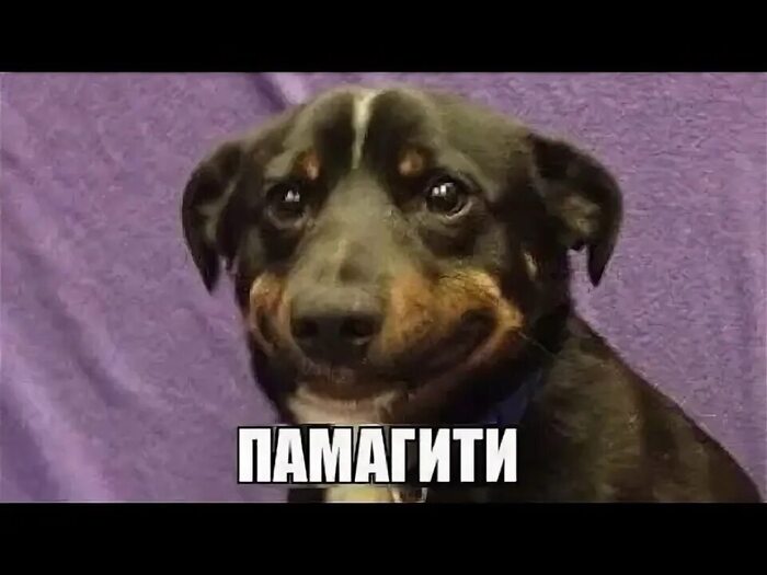 Выбор домофона