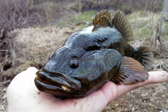 -.  ,       .           .