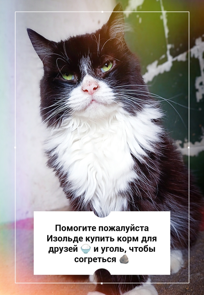 На улице холод, в животиках голод...