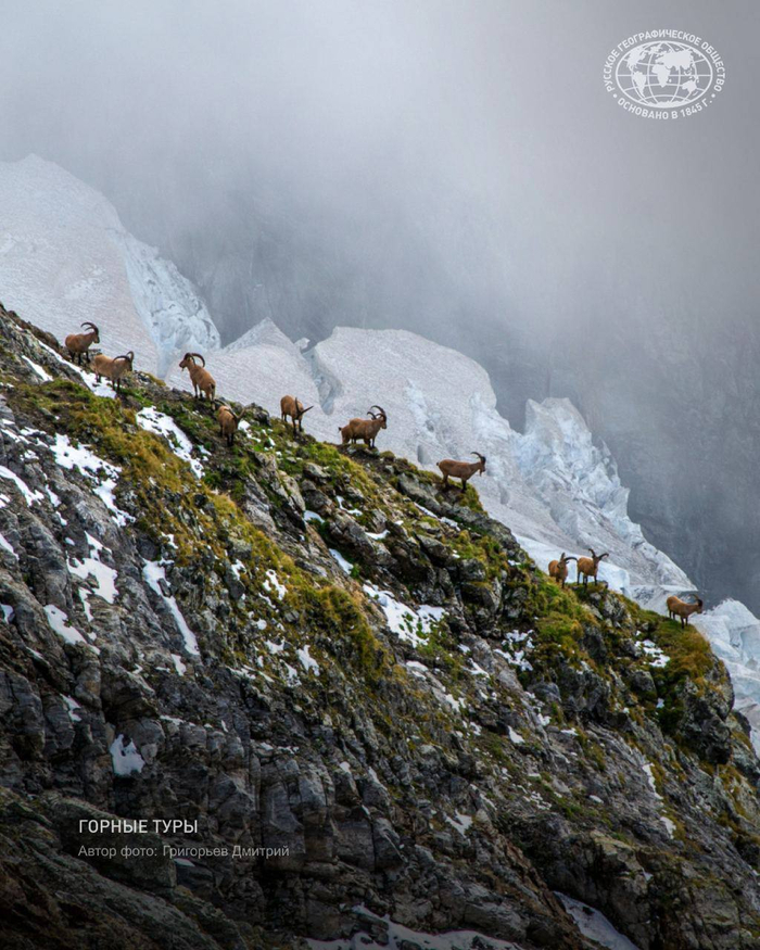 -     !  <a href="https://pikabu.ru/story/zapadnokavkazskie_turyi_13234193?u=https%3A%2F%2Ft.me%2Frgo1845%2F16157&t=%D0%BE%D1%82%D1%81%D1%8E%D0%B4%D0%B0&h=0754f503de6cae2e0b2f007cca1bd9bed166394e" title="https://t.me/rgo1845/16157" target="_blank" rel="nofollow noopener"></a>