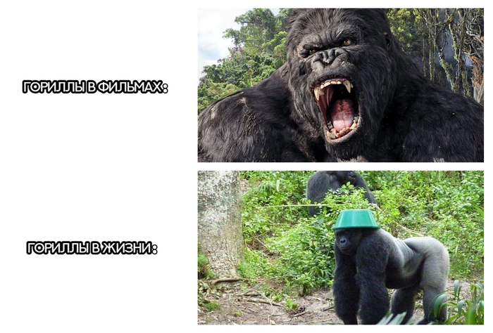 Суровая реальность жизни