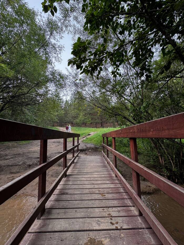 ����� ���� ����� ����������