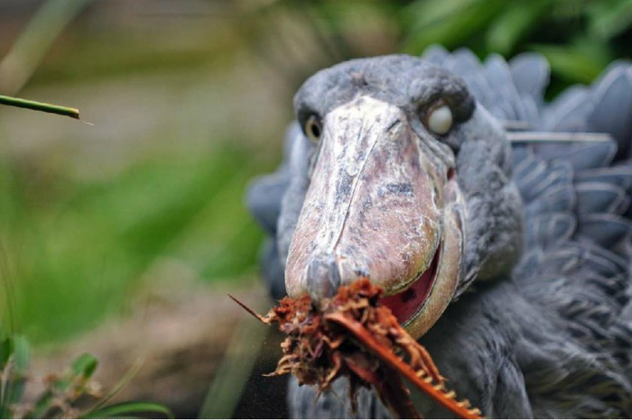  ,      ,    .      ,     .