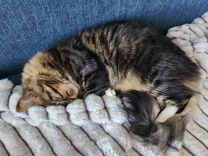 Ежедневный Рислинг #67