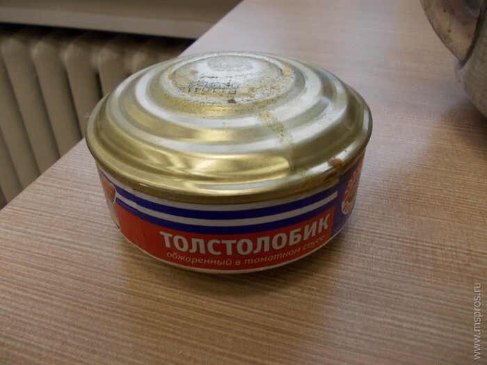 Ответ на пост «Ничего не бойтесь, особенно если хочется есть»