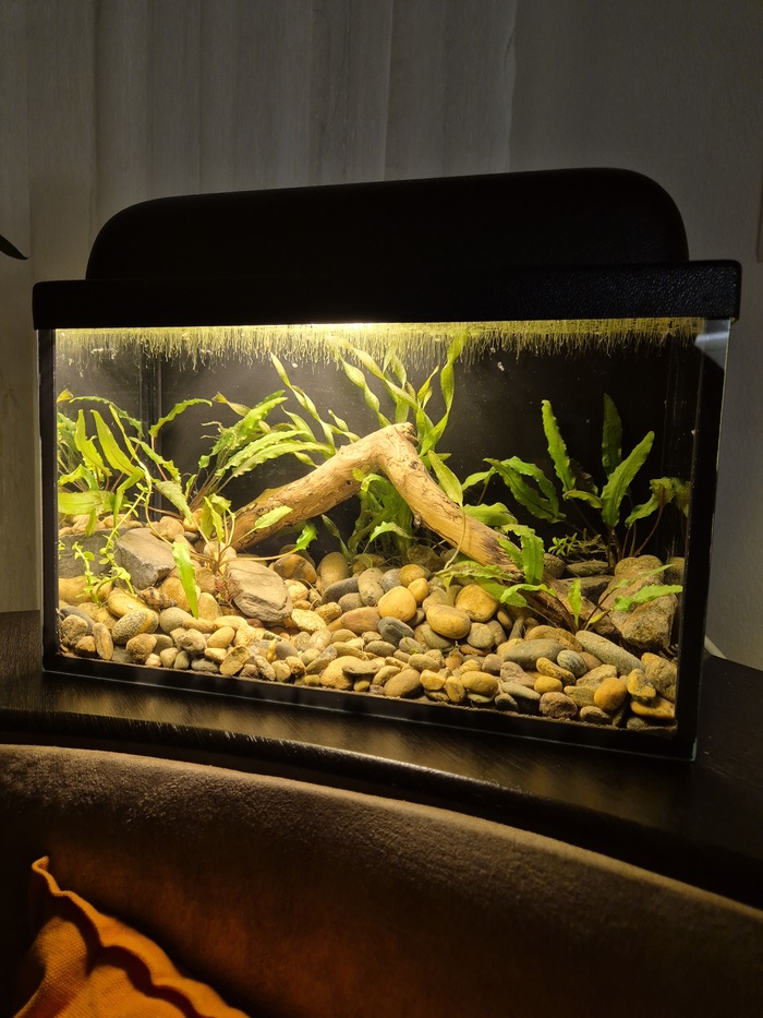 Мой аквариум на кухонном уголке