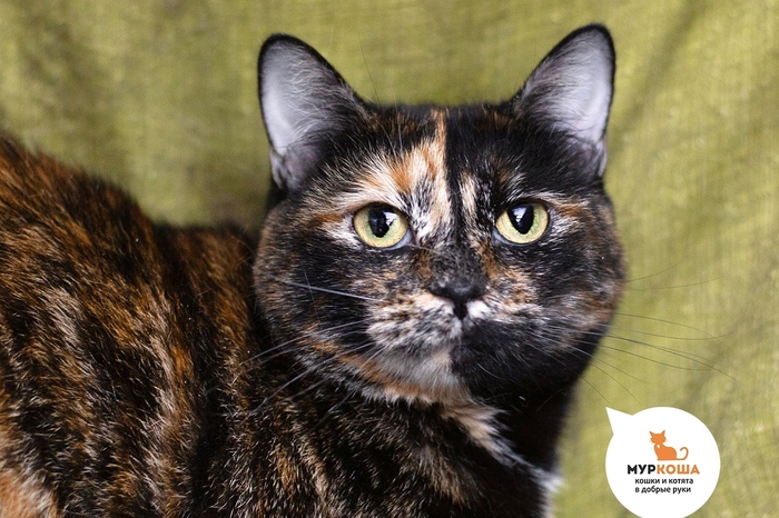  , 2 ,   .  .        - .  ,              .