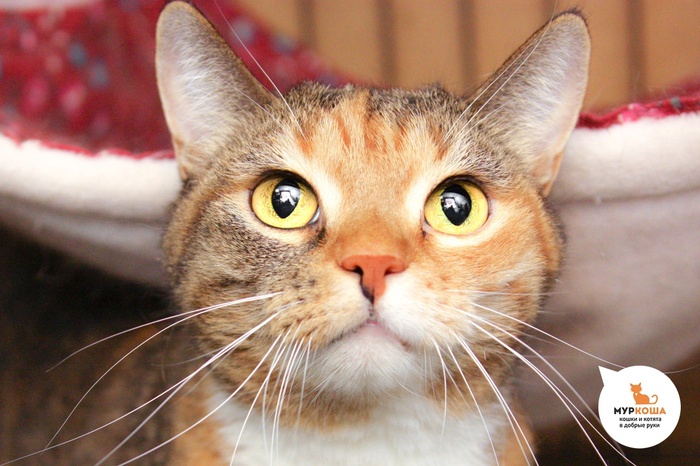  , 10 , .        .          .