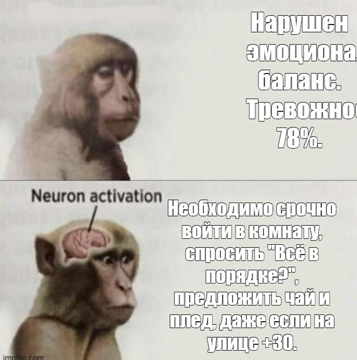 Когда девушка ESFJ вздохнула в другой комнате