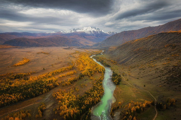    102 ,       ,    ,    . 