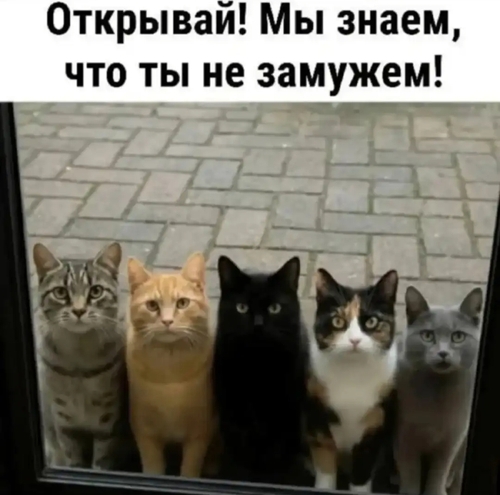 Они тебя найдут...