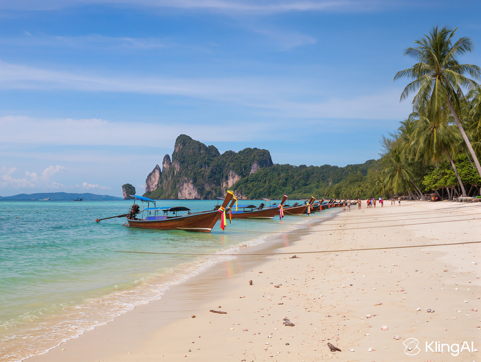 Хрономонтажник. Глава 8