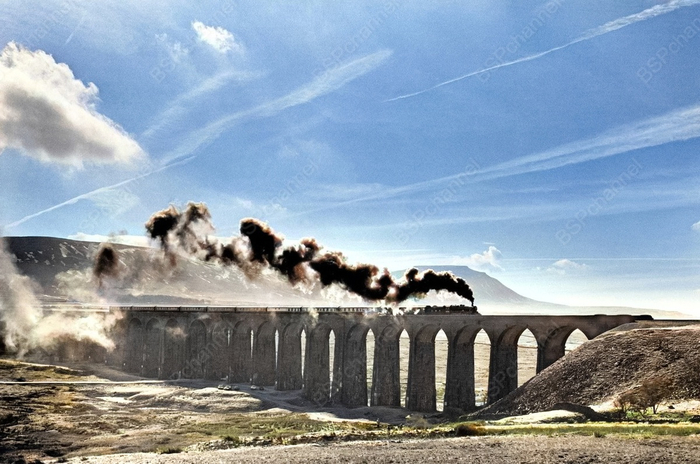 Фотограф: Денис Торп