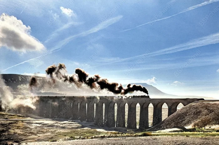 Фотограф: Денис Торп Фотограф: Денис Торп