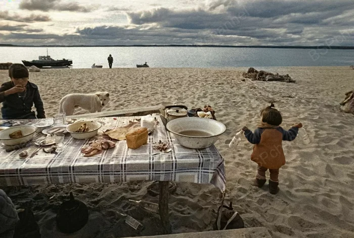 Фотограф: Игорь Гаврилов Фотограф: Игорь Гаврилов