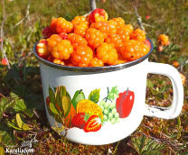 �������� �������