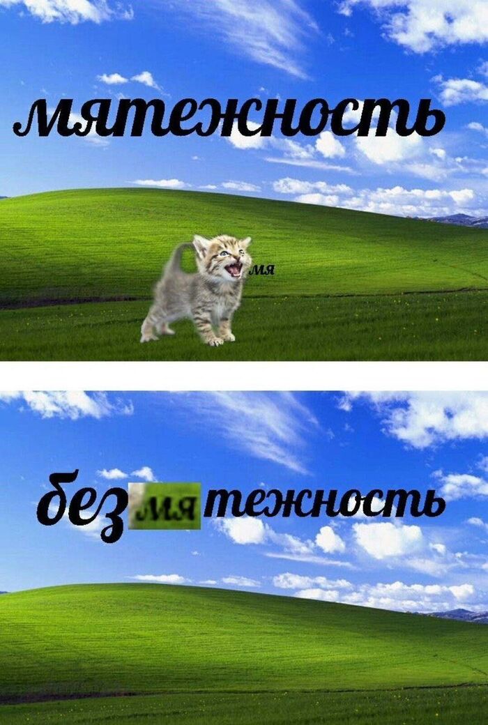 Виндоус