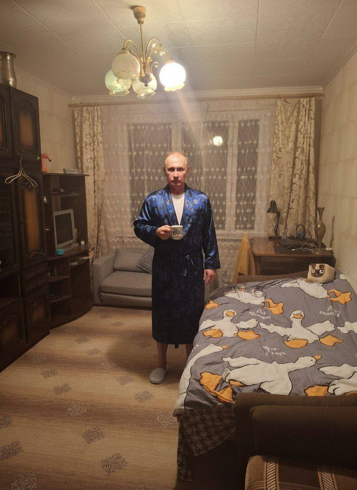 Одеяло с гусями