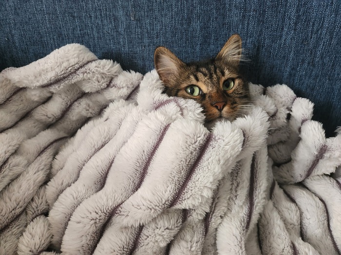 Ежедневный Рислинг #69