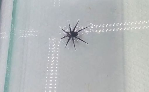 :  UVA : <!--noindex--><a href="https://pikabu.ru/story/minirobotyi_nauchilis_khodit_po_vode_kak_nasekomyie_video_13246599?u=http%3A%2F%2Ftechxplore.com&t=techxplore.com&h=fcc40015500c819c66efb5051152fe5828d56548" title="http://techxplore.com" target="_blank" rel="nofollow noopener">techxplore.com</a><!--/noindex-->